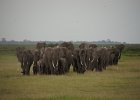 Amboseli